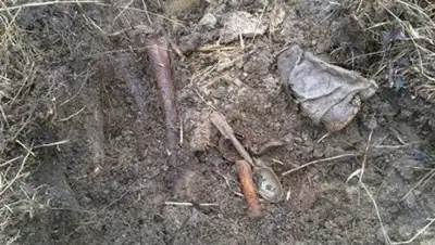 пресс-служба посольства РК в РФ, фото - Новости Zakon.kz от 09.04.2019 22:03