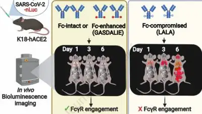 cell.com, фото - Новости Zakon.kz от 20.08.2021 15:38