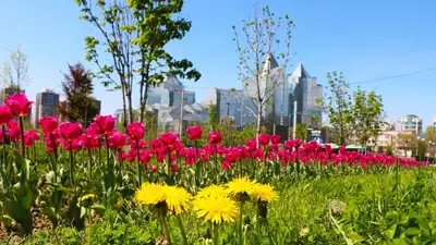 Почему весной меняется настроение и самочувствие, фото - Новости Zakon.kz от 01.03.2023 18:57