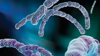 Zakon.kz, фото - Новости Zakon.kz от 21.06.2016 21:32