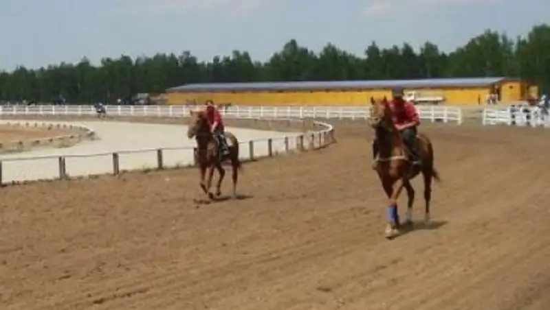 В Бородулихинском районе ВКО появился новый ипподром
