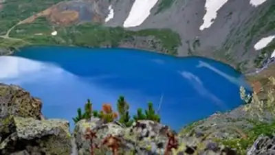 facebook, фото - Новости Zakon.kz от 04.08.2020 13:48