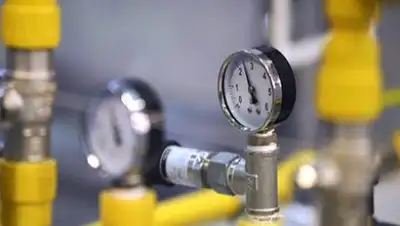 Zakon.kz, фото - Новости Zakon.kz от 21.08.2017 17:32