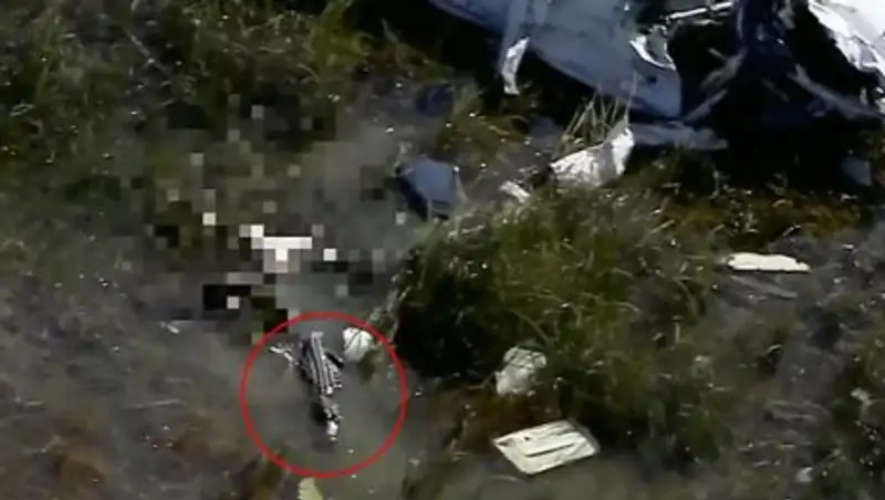 Пилота самолёта, разбившегося во Флориде, съел аллигатор