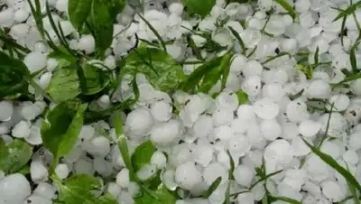 24.kz, фото - Новости Zakon.kz от 14.08.2018 17:49