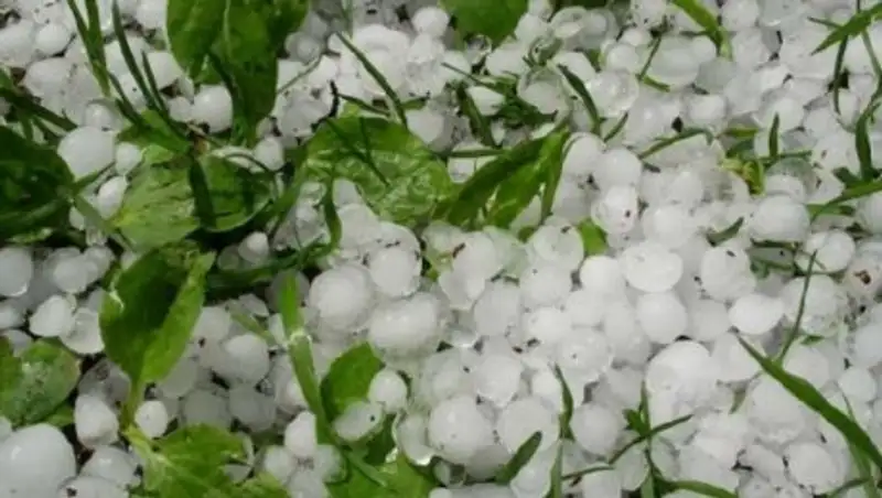 В Костанайской области ожидается град