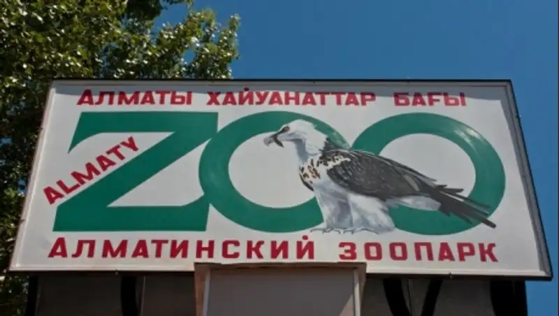 В Алматинском зоопарке появились новые питомцы