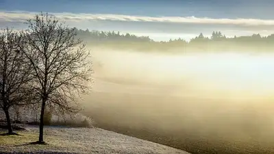 Туман , фото - Новости Zakon.kz от 28.02.2022 17:34