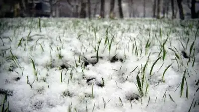 Zakon.kz, фото - Новости Zakon.kz от 31.03.2017 21:18