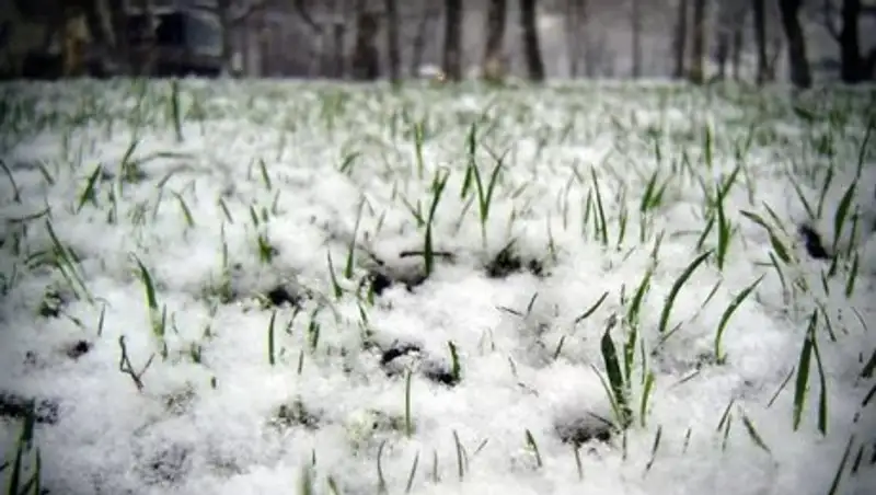 Первые апрельские выходные будут морозными