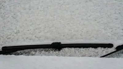 снег, фото - Новости Zakon.kz от 30.11.2022 21:00