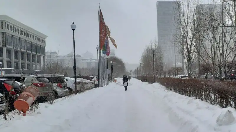 Осадки и похолодание ожидаются в Астане, Алматы и Шымкенте с 10 по 12 февраля