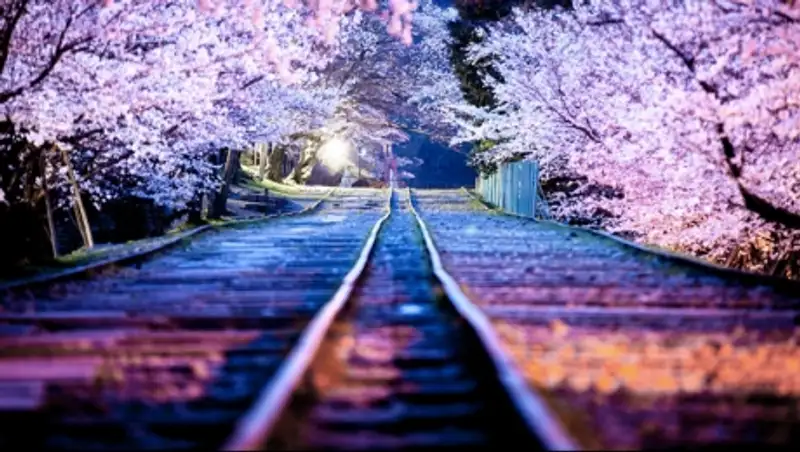 Удивительные явления природы