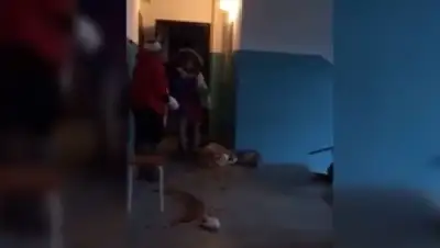 Zakon.kz, фото - Новости Zakon.kz от 03.11.2016 06:49