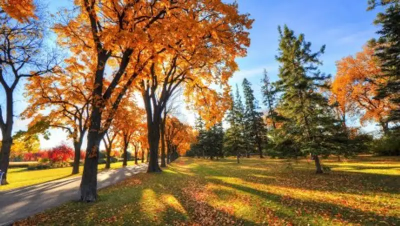 В выходные дни в Казахстане будет тепло и без осадков