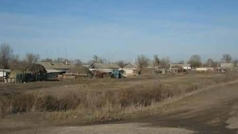 В ЗКО не хватает пастухов и земель