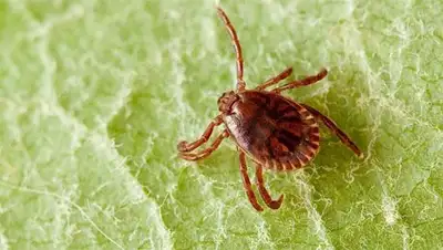 Zakon.kz, фото - Новости Zakon.kz от 11.01.2014 21:41