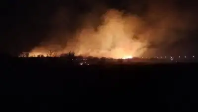 пожар близ Семея, фото - Новости Zakon.kz от 17.10.2022 07:10