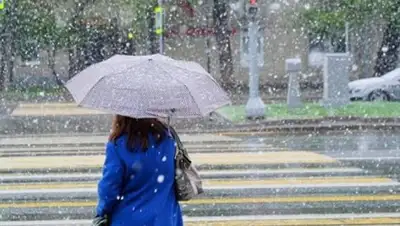 Zakon.kz, фото - Новости Zakon.kz от 23.10.2017 15:12