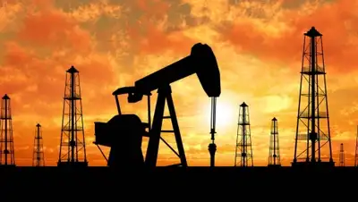 Zakon.kz, фото - Новости Zakon.kz от 16.02.2016 22:45