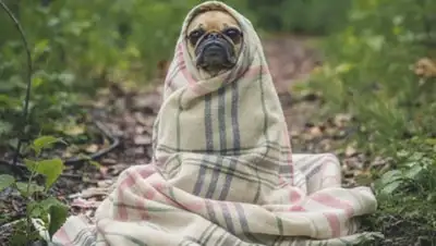 Zakon.kz, фото - Новости Zakon.kz от 24.05.2017 18:12