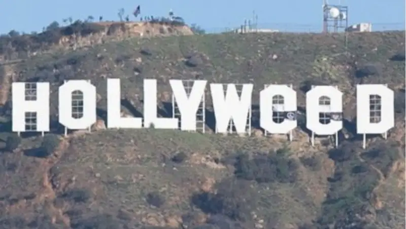 Любитель марихуаны, изменивший известную надпись Hollywood, сдался властям