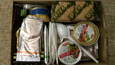 voin.guru, фото - Новости Zakon.kz от 25.02.2020 11:42