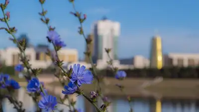 Казахстан Астана интернет, фото - Новости Zakon.kz от 06.06.2023 13:02