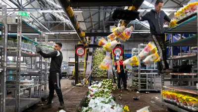 Ilvy Njiokiktjien for The New York Times, фото - Новости Zakon.kz от 14.04.2020 01:29