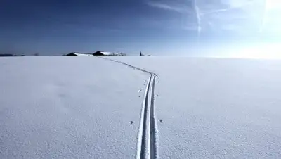 pixabay.com, фото - Новости Zakon.kz от 09.02.2019 19:18