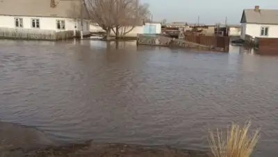 Zakon.kz, фото - Новости Zakon.kz от 24.03.2017 16:47