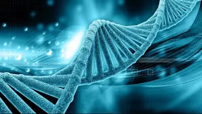 What is photography?, фото - Новости Zakon.kz от 04.05.2018 01:38