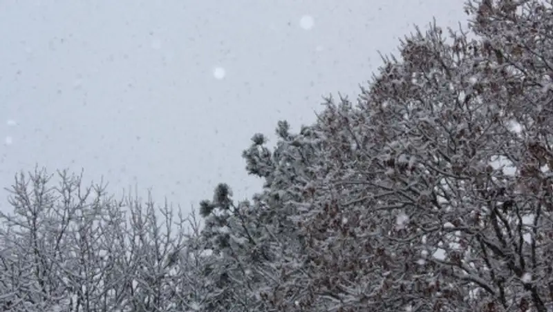 Аномальное тепло в Казахстане сменится похолоданием