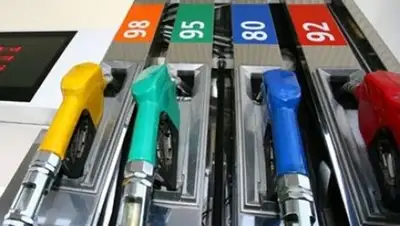 Zakon.kz, фото - Новости Zakon.kz от 03.02.2017 16:19