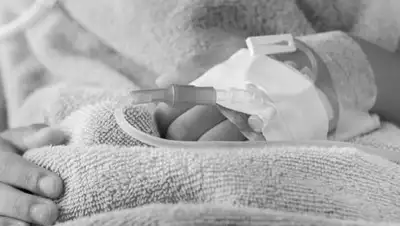 Казинформ, фото - Новости Zakon.kz от 25.02.2018 13:24