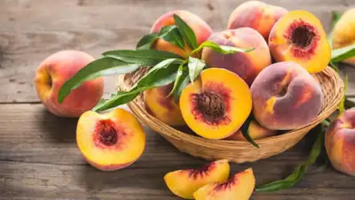 ukrainianwall.com, фото - Новости Zakon.kz от 12.09.2019 13:05