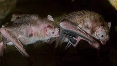 Zakon.kz, фото - Новости Zakon.kz от 13.06.2017 06:40