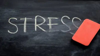 ТОО "Арасан Актобе", фото - Новости Zakon.kz от 08.09.2020 10:19