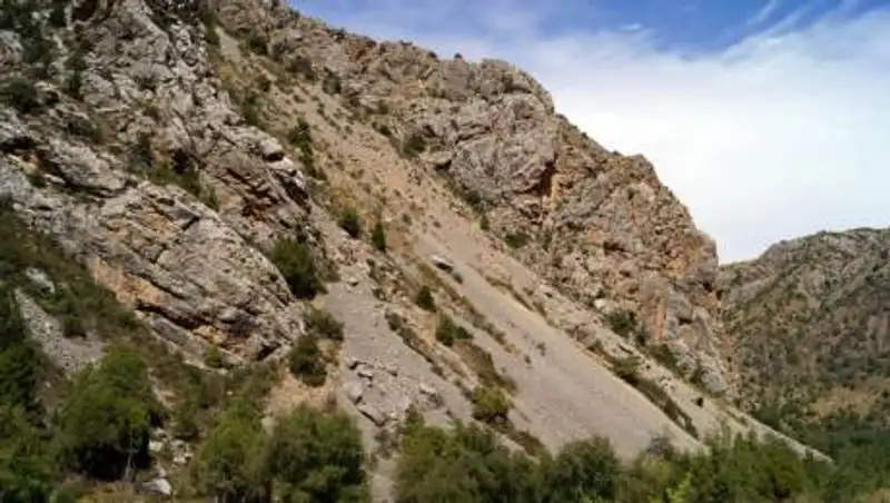 Трех подростков спасли в горах Туркестанской области