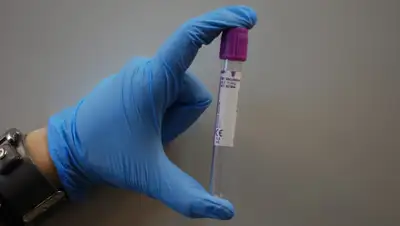 pxhere.com, фото - Новости Zakon.kz от 08.04.2020 22:37