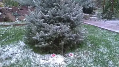 Zakon.kz, фото - Новости Zakon.kz от 27.10.2014 14:38