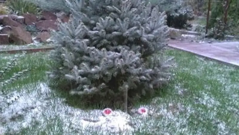 В Шымкенте выпал первый снег 