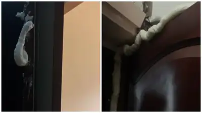 Неизвестные залили монтажной пеной дверь квартиры журналиста в Алматы