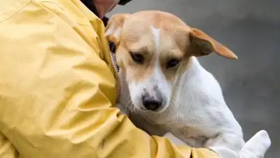 ulyanovskcity.ru, фото - Новости Zakon.kz от 31.03.2018 06:59