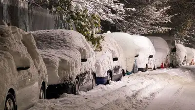 Ташкент парализовало из-за снега, фото - Новости Zakon.kz от 05.12.2022 12:00