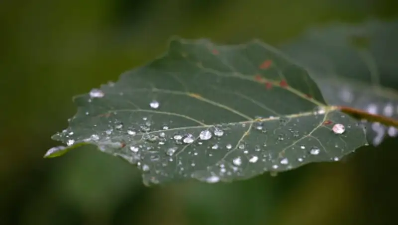 Во вторник на большей части Казахстана возможны осадки