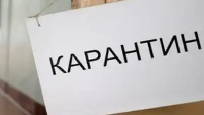 0512.com.ua, фото - Новости Zakon.kz от 17.03.2020 16:20