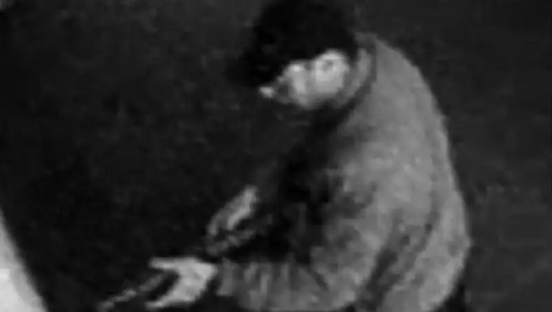 Власти Франции задержали подозреваемого в стрельбе в Еврейском музее Брюсселя