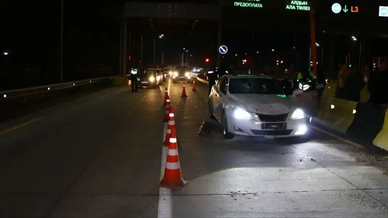 В Алматинской области сбил несколько человек, фото - Новости Zakon.kz от 25.11.2022 22:47