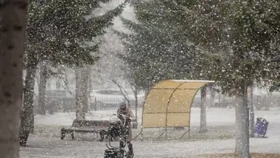 Фото: riatomsk.ru, фото - Новости Zakon.kz от 12.01.2018 09:30